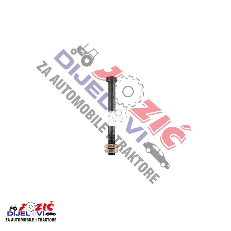 Daisy on the Ohoopee